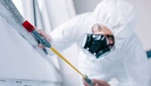 Best Residential Pest Control  in Carlyss, LA